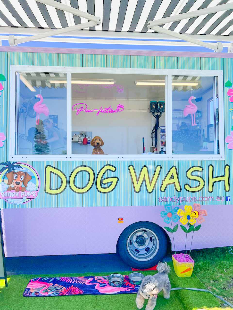 The Sandy Pups Dog Wash trailer with its walk-up window, flamingo decorations and a dog waiting out front
